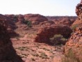 /album/fauna-flora/a04-kings-canyon-jpg/